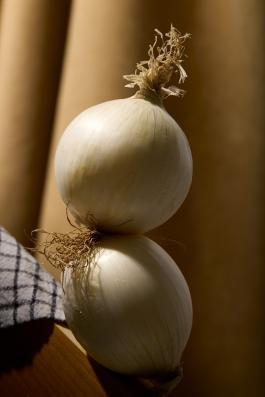 zwiebel fotografie editorial photography Photography Zurich Switzerland