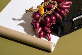 zwiebel fotografie editorial photography Photography Zurich Switzerland
