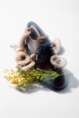 photography samir pulpo Photography Zurich Switzerland